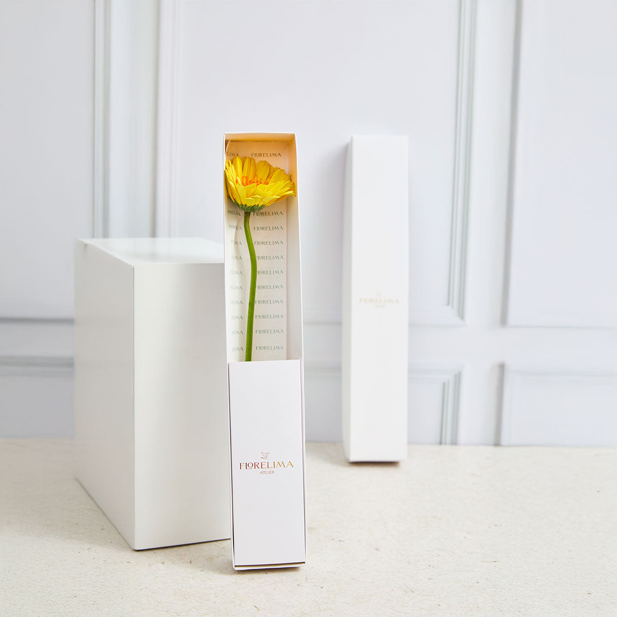 Caja 1 Gerbera