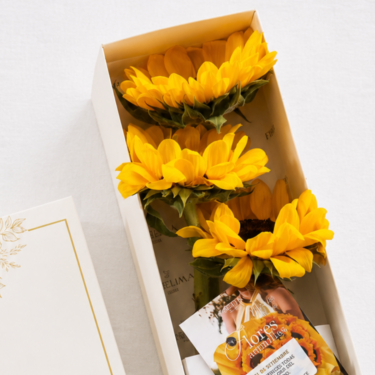 Caja 3 Girasoles - Flores Amarillas