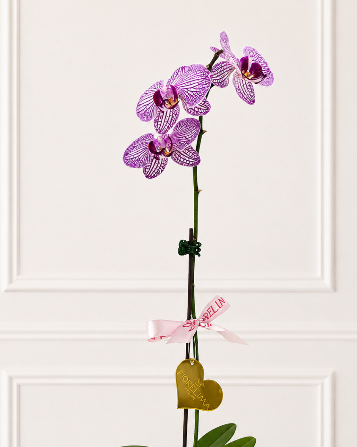 orquídea rosada natural_Una vara