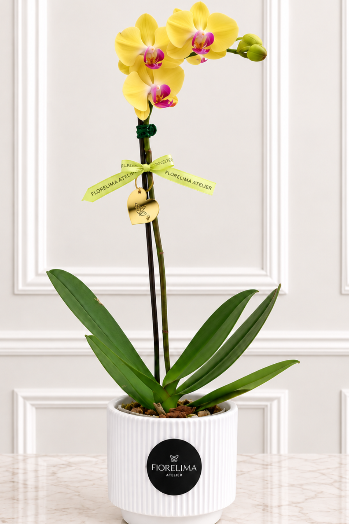 Orquídea Premium Amarilla