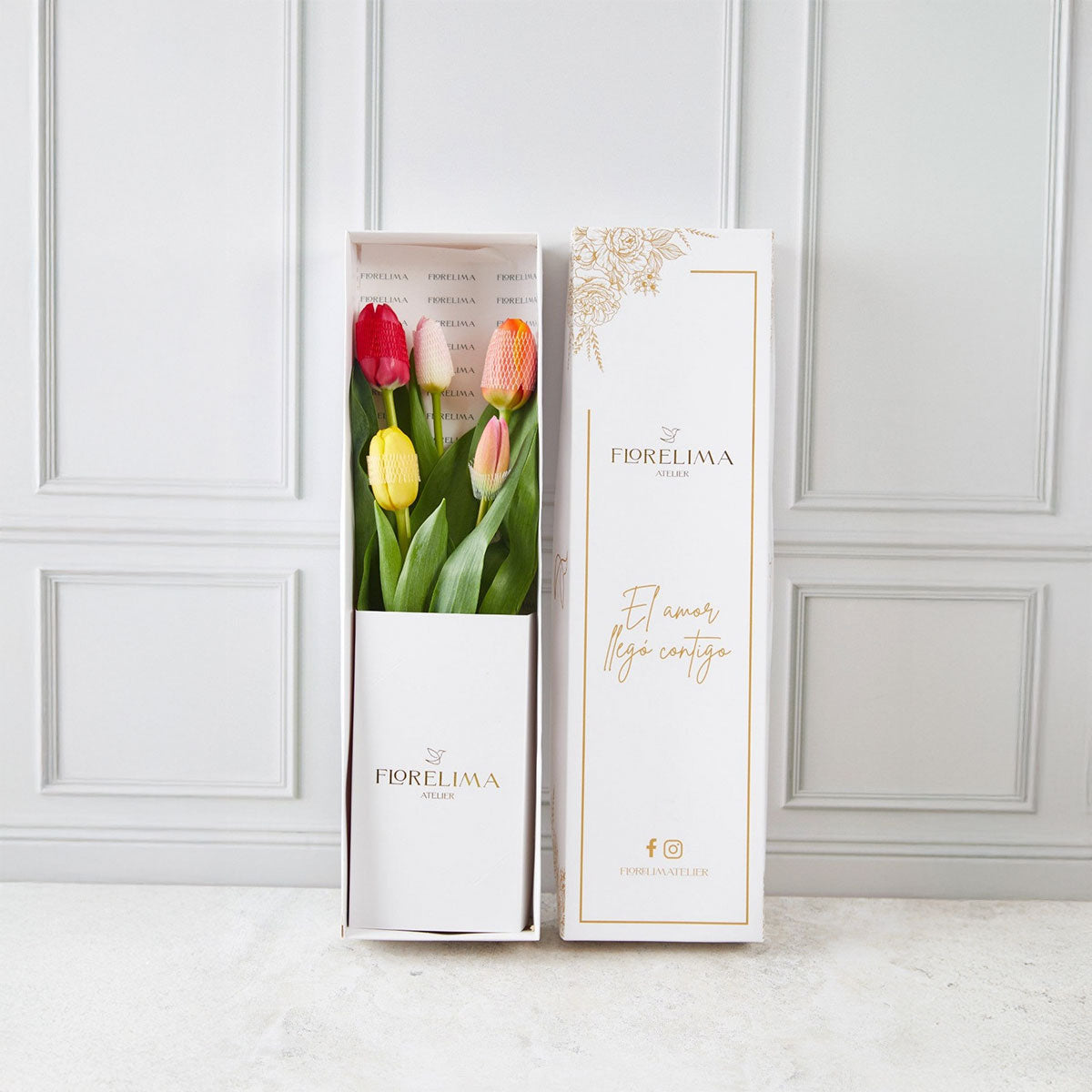 Caja 5 Tulipanes Multicolor