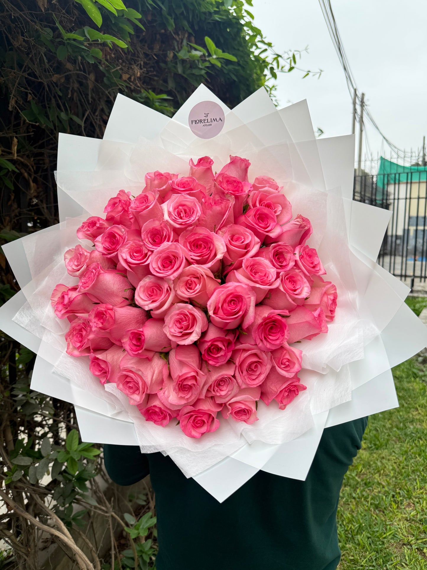 Ramo dulzura - 50 Rosas Rosadas