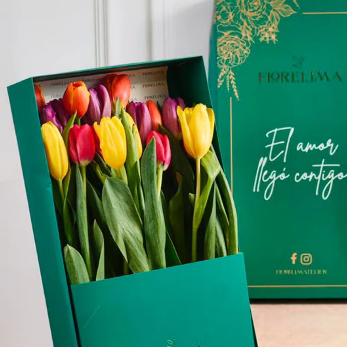 Caja de 20 Tulipanes