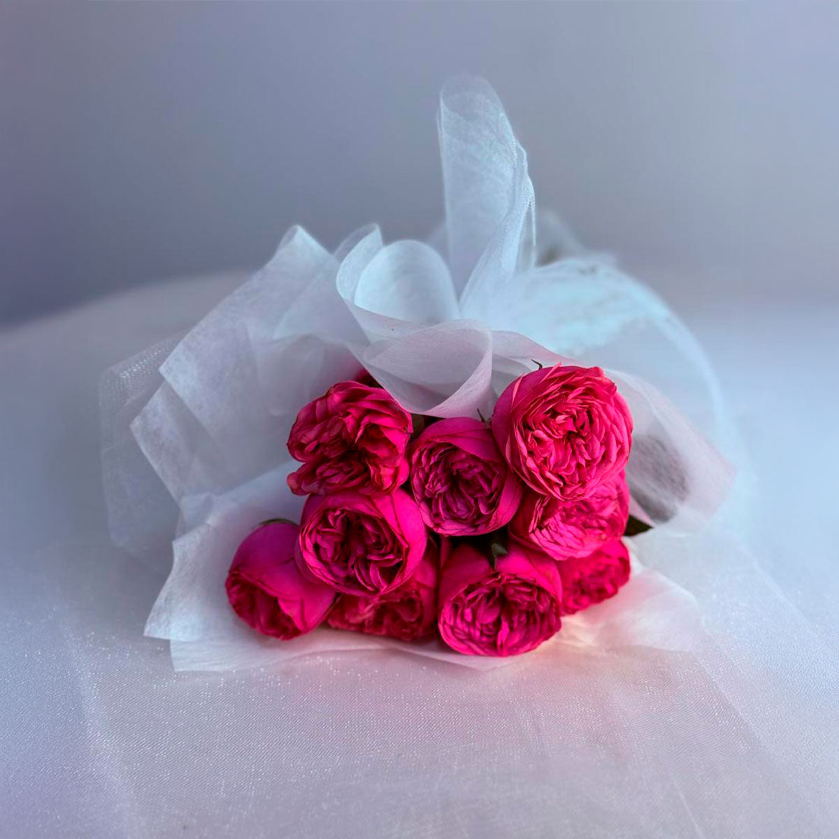Mini Peonias Fucsia (Rosas Inglesas)