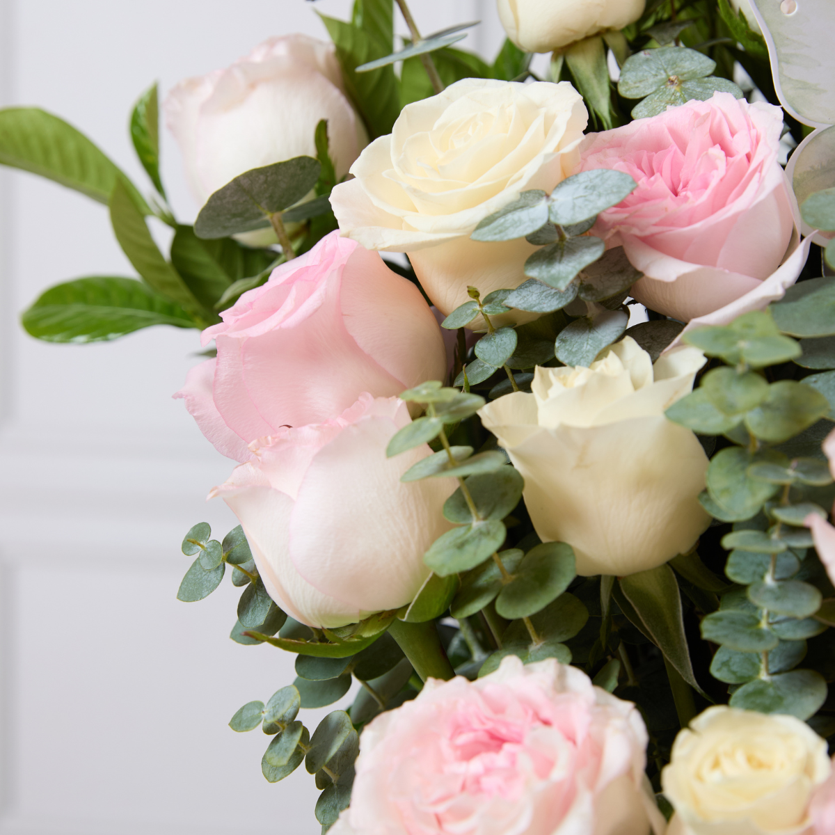 Box Alma Floral - Rosas en color pastel .
