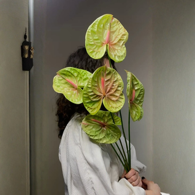 Plantas Anturio