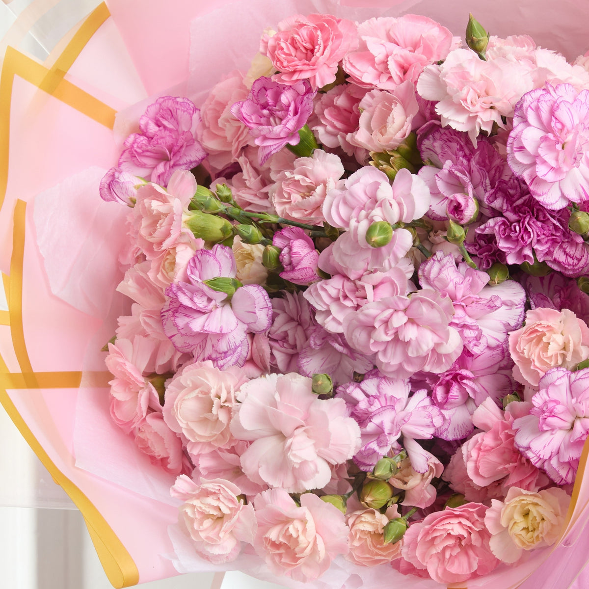 Ramo de Mini Claveles Pink