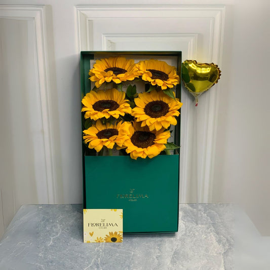 Caja 6  Girasoles
