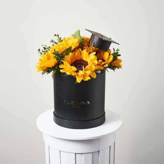Big Box Girasoles Graduaciòn