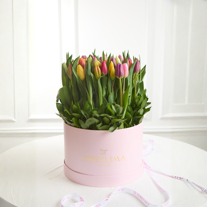 Box 50  Tulipanes Amore