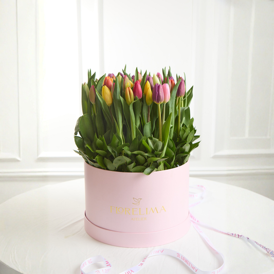 Box 50  Tulipanes Amore
