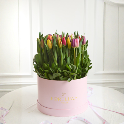 Box 50  Tulipanes Amore