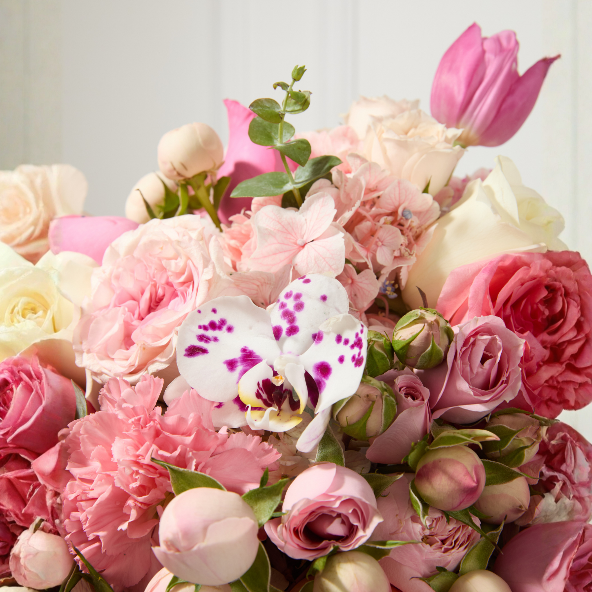 Box Étoile  Peonias - Rosas Inglesas