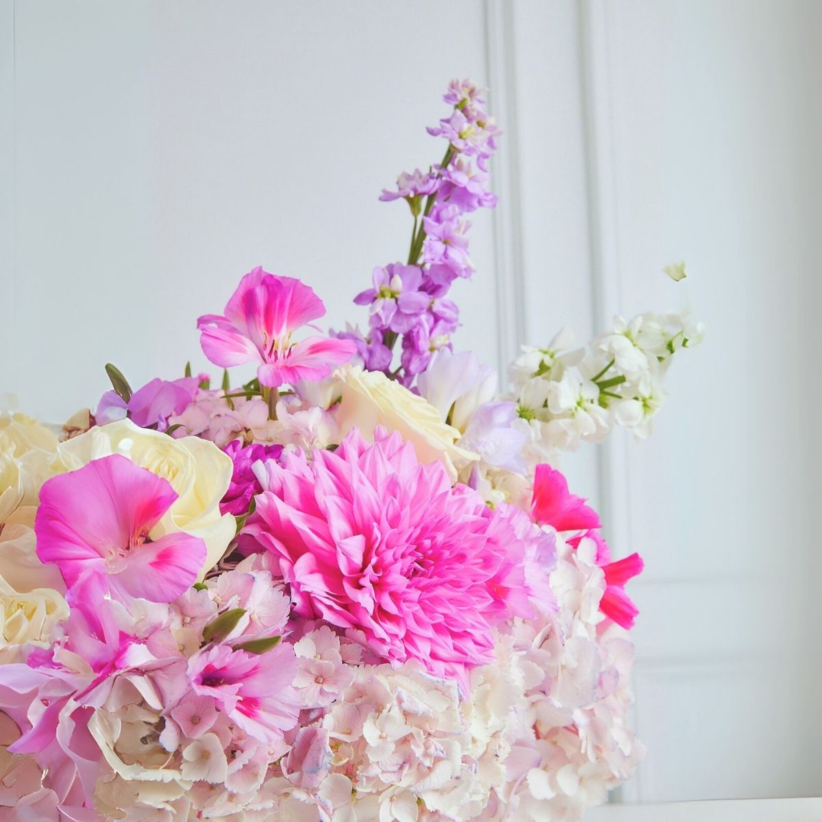 Box Dalias, hortensias y rosas