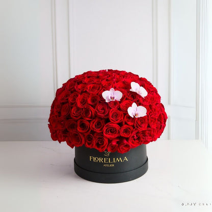 Box de 150 rosas rojas y orquídeas