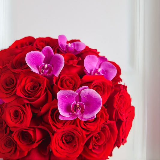 Cotton red - rosas rojas y orquídeas