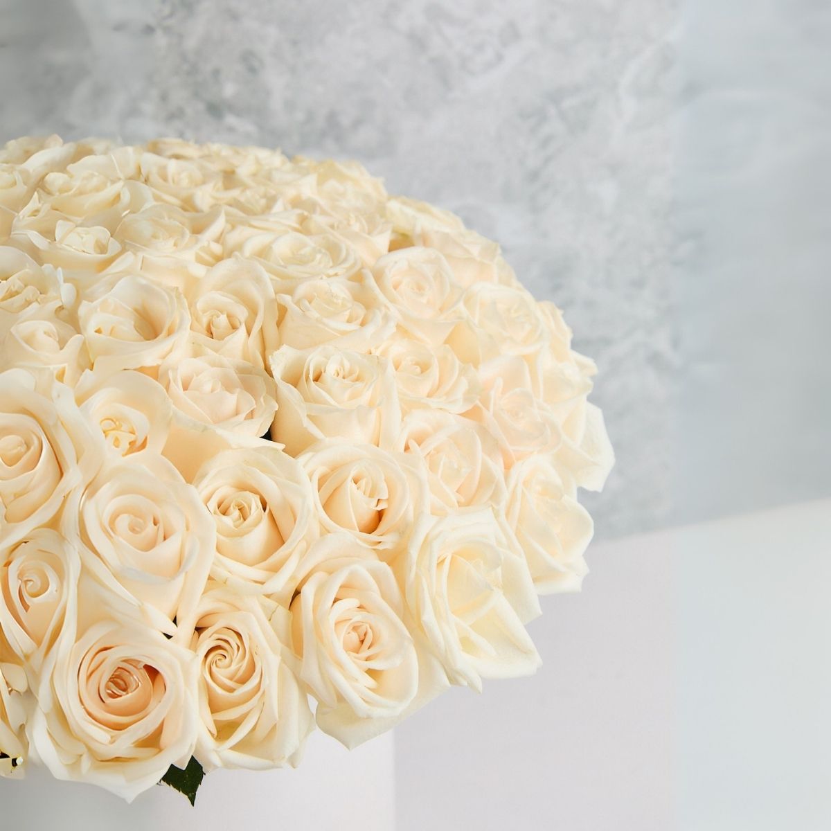Box Carolina - 100 rosas blancas