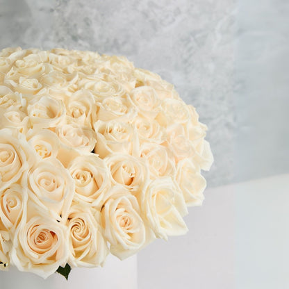 Box Carolina - 100 rosas blancas