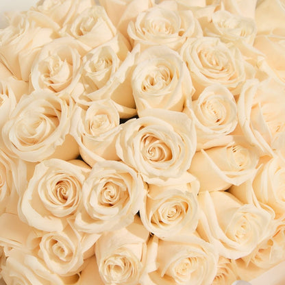 Box Carolina - 100 rosas blancas