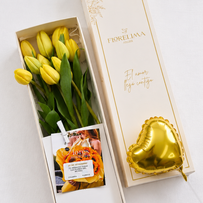 Caja de 10 Tulipanes Amarillos