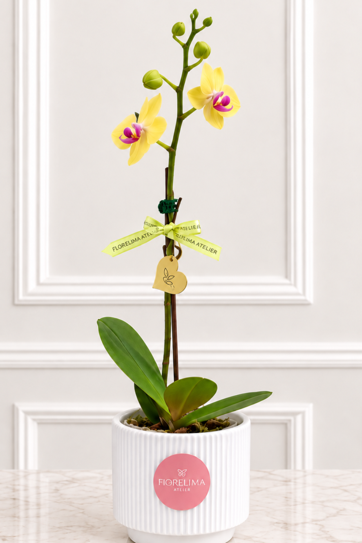 Orquídea Mediana Amarilla