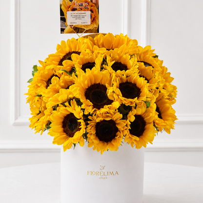 Box de 20 Girasoles