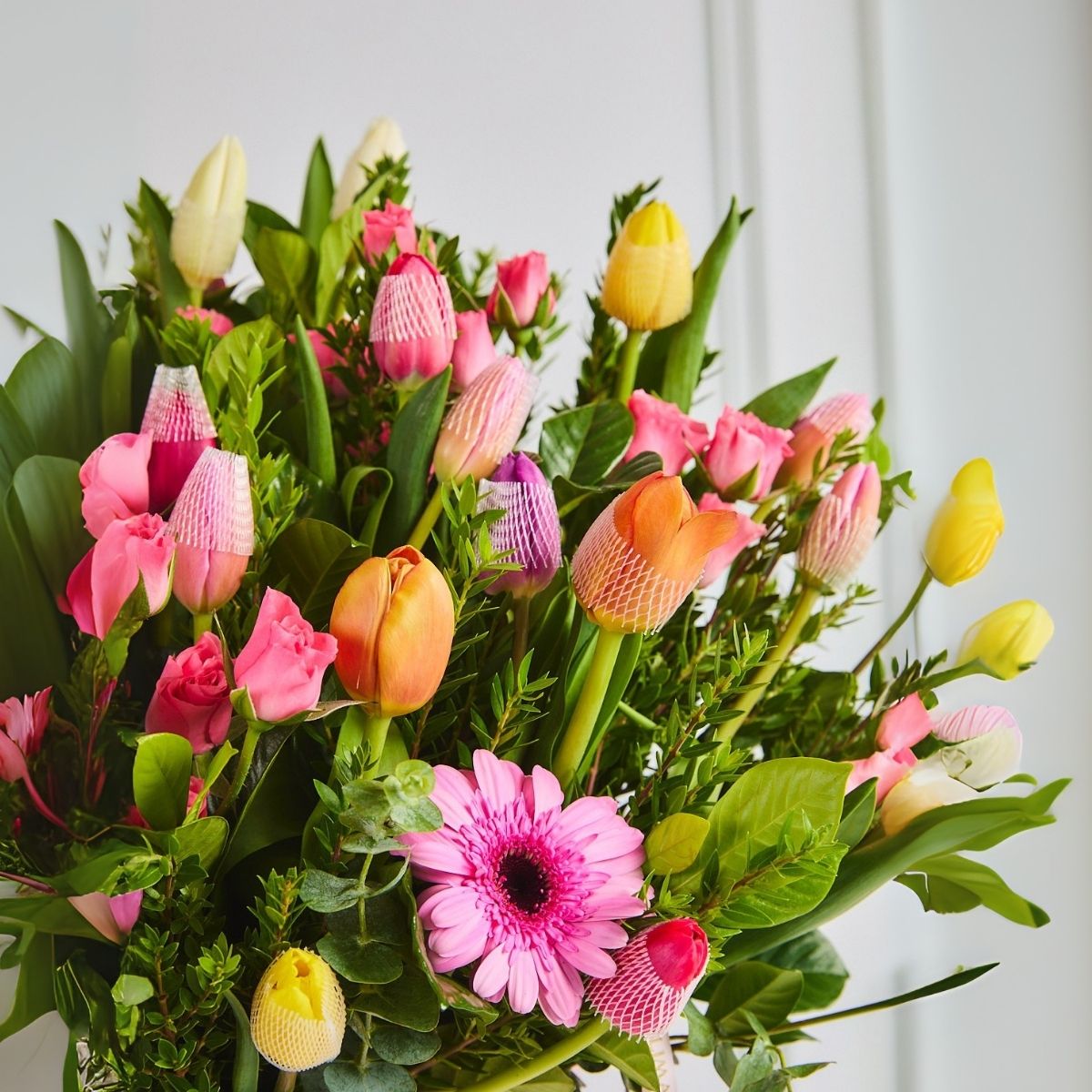 Box 20 tulipanes y Gerberas