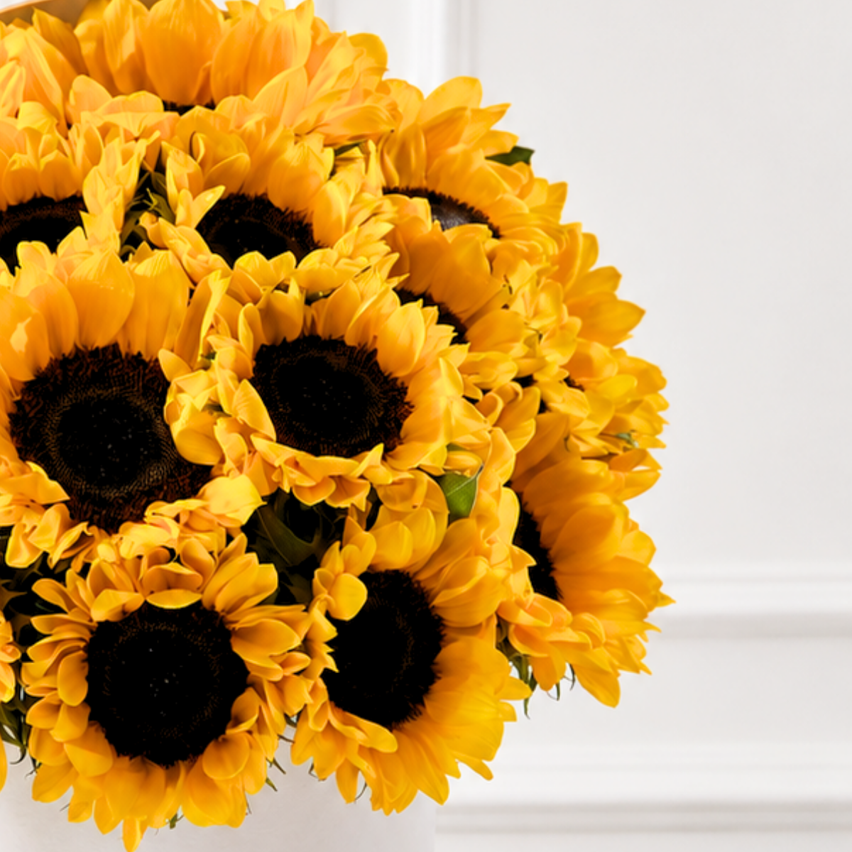Box de 20 Girasoles
