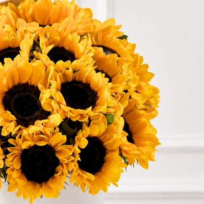 Box de 20 Girasoles