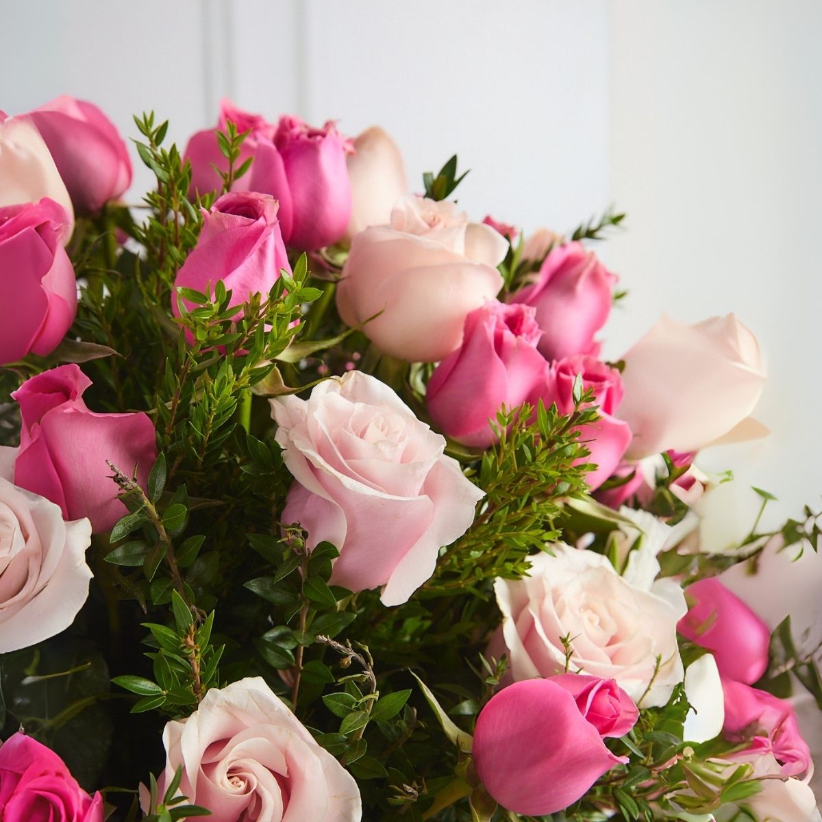Box Rosas Rosadas Premium