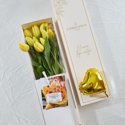 Caja de 10 Tulipanes Amarillos