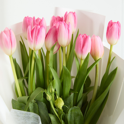 Ramo 12 Tulipanes Rosados