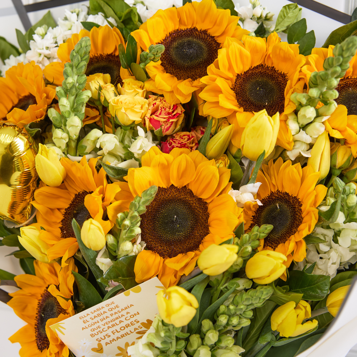 Maxi Girasoles-10 Girasoles y 15 Tulipanes