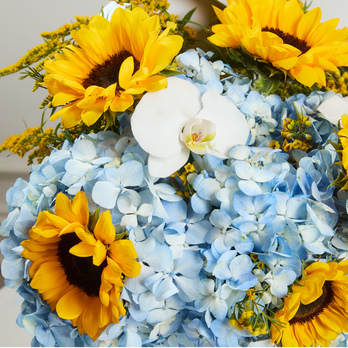 Pack Baby Shower con Girasoles