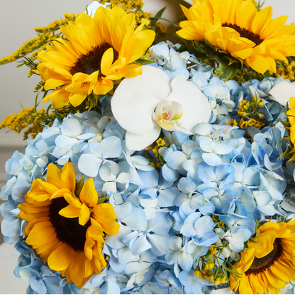 Pack Baby Shower con Girasoles