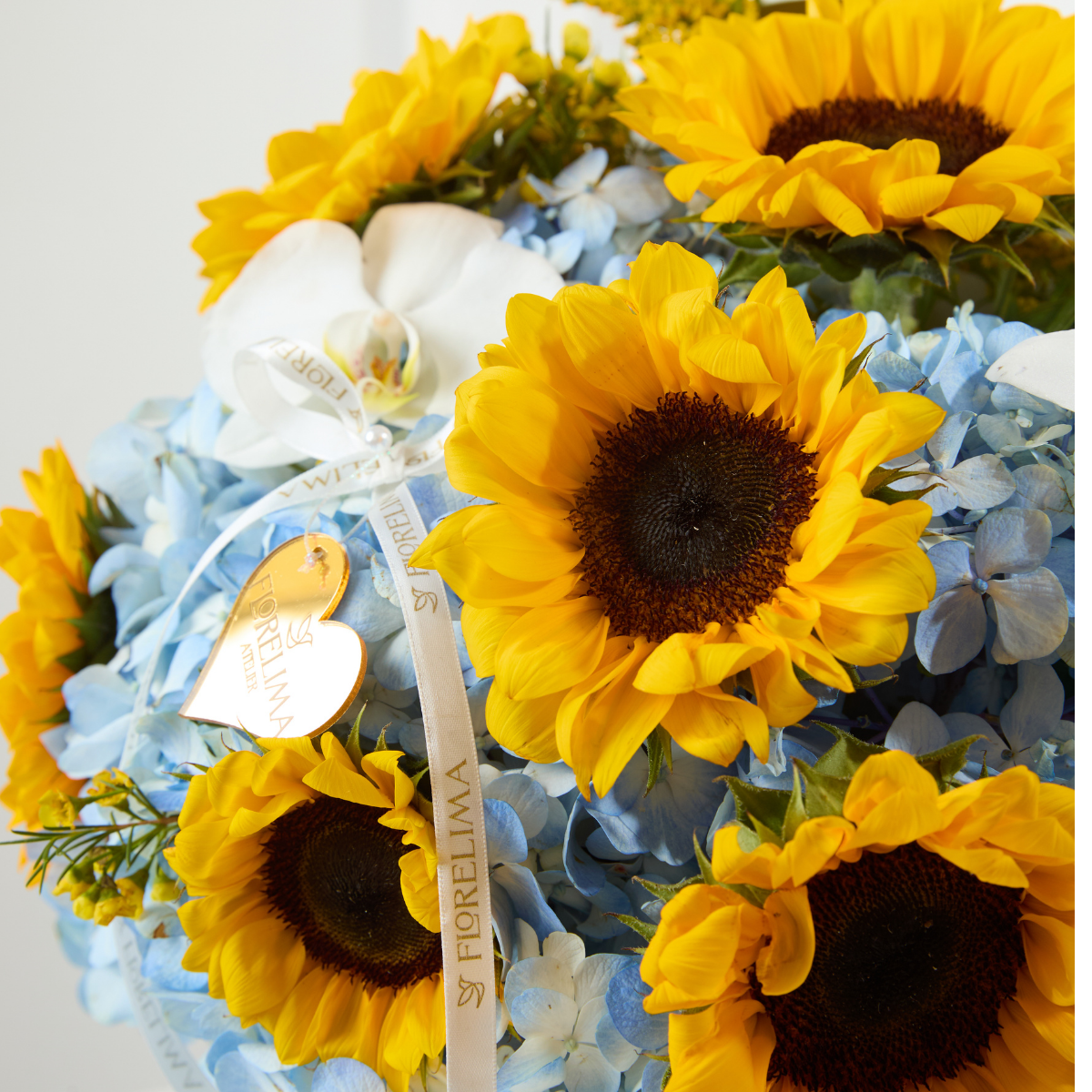 Box de Girasoles y Hortensias