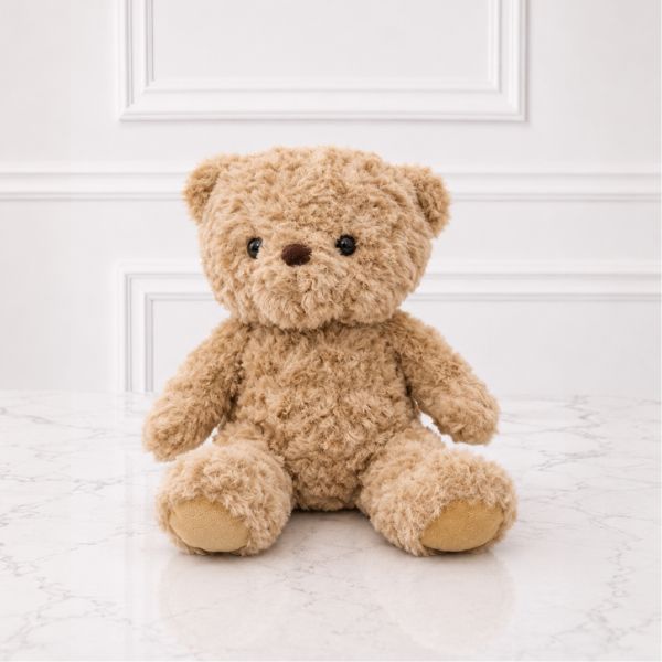 Osito Clásico Teddy 🧸🤎
