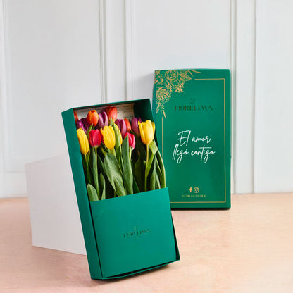 Caja de 20 Tulipanes