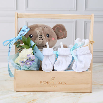 Primer Regalo - Box Bebé