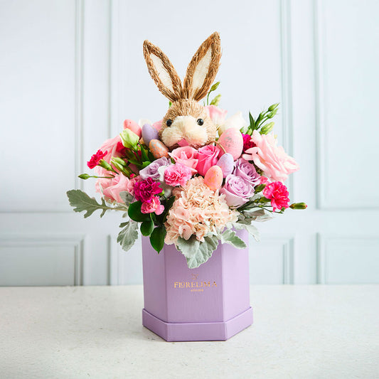 Box Pascua Lila