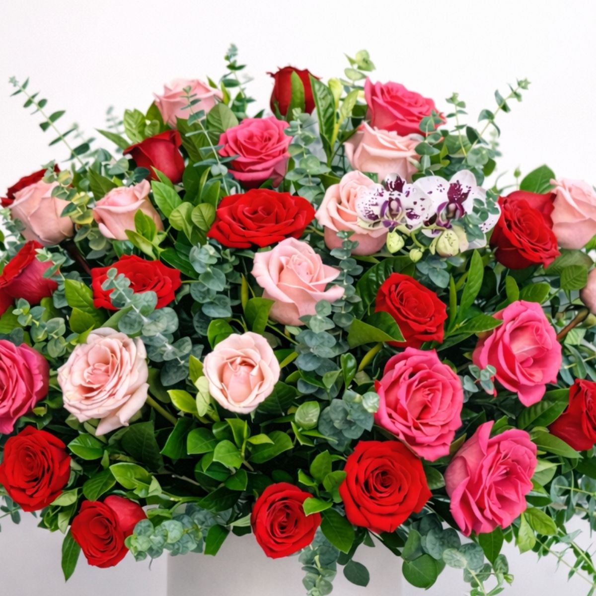 Box Amor
