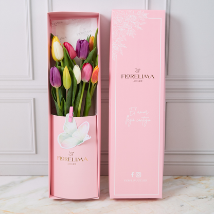 Caja 10 Tulipanes