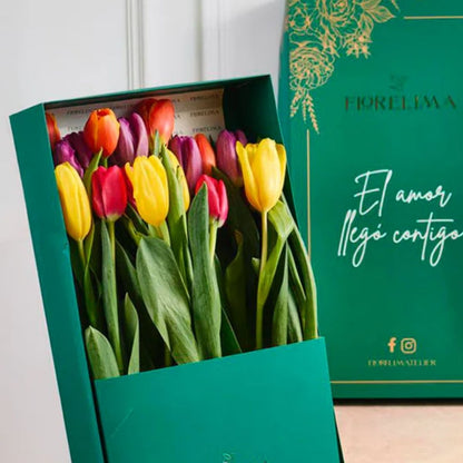 Caja de 20 Tulipanes
