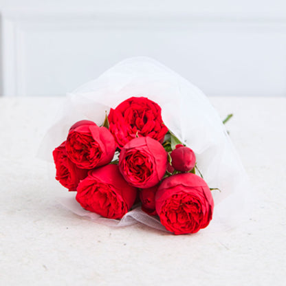Mini peonias Rojas (Rosas Inglesas)