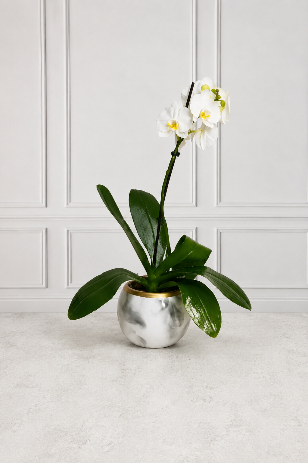 Orquídea Esmeralda