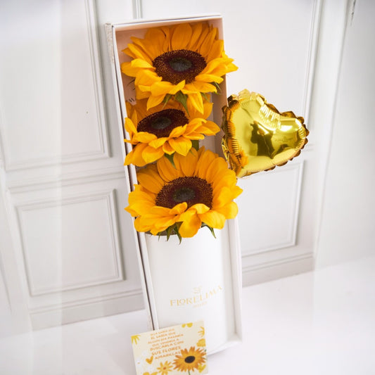 Caja 3 Girasoles - Flores Amarillas